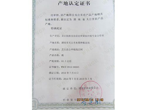 无公害检验报告