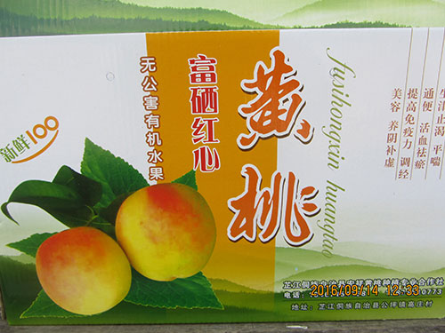 黄桃